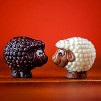 Chocolate Sheep